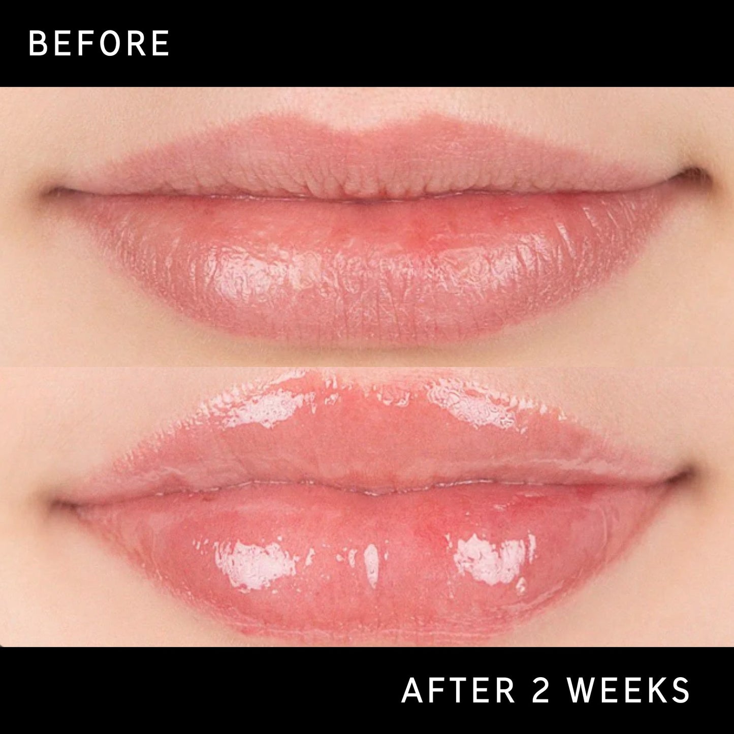 tripeptide-plumping-lip-balm-f3 DTC-Top15_Amends_Tripeptide-Lip_B_A.jpg